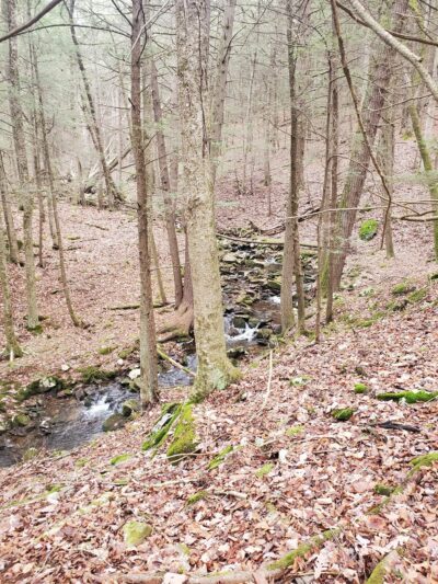 Hickok Brook Multiple Use Area - Eldred, NY