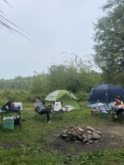 Hickok Brook Multiple Use Area - Eldred, NY