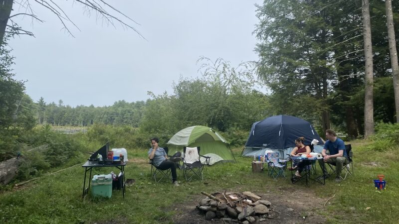 Hickok Brook Multiple Use Area - Eldred, NY