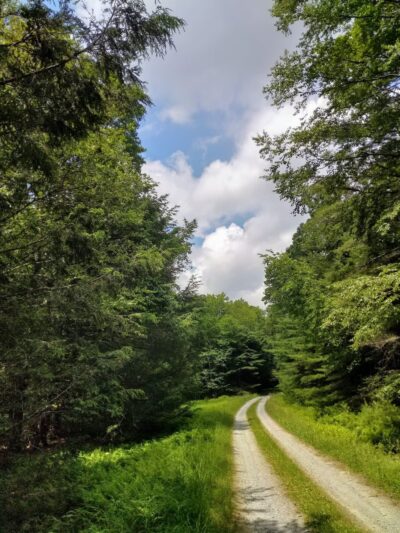 Hickok Brook Multiple Use Area - Eldred, NY