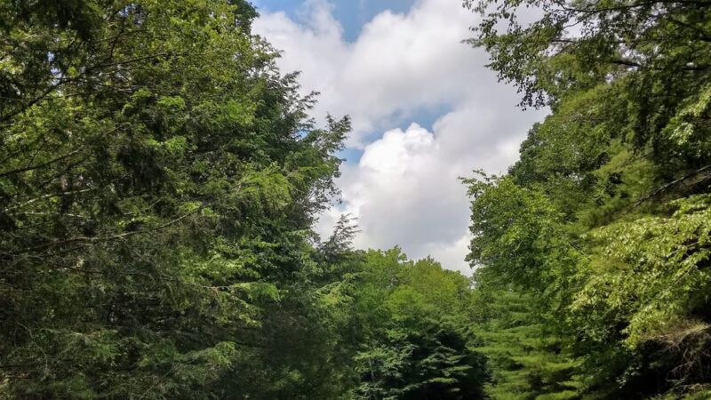 Hickok Brook Multiple Use Area - Eldred, NY