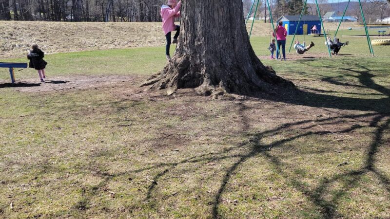 Ron Houben Memorial Park - Eldred, PA