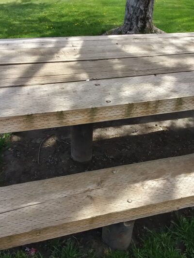 Tom McDowell Elgin Community Park - Elgin, OR