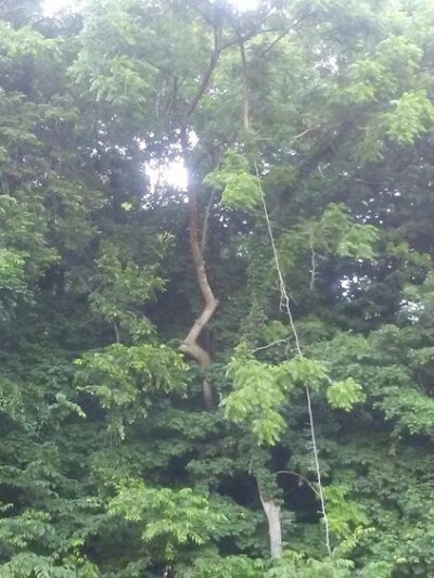 Noe's Rest Park - Elizabeth, IN