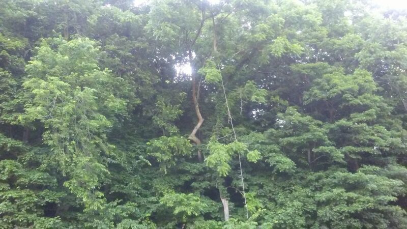 Noe's Rest Park - Elizabeth, IN