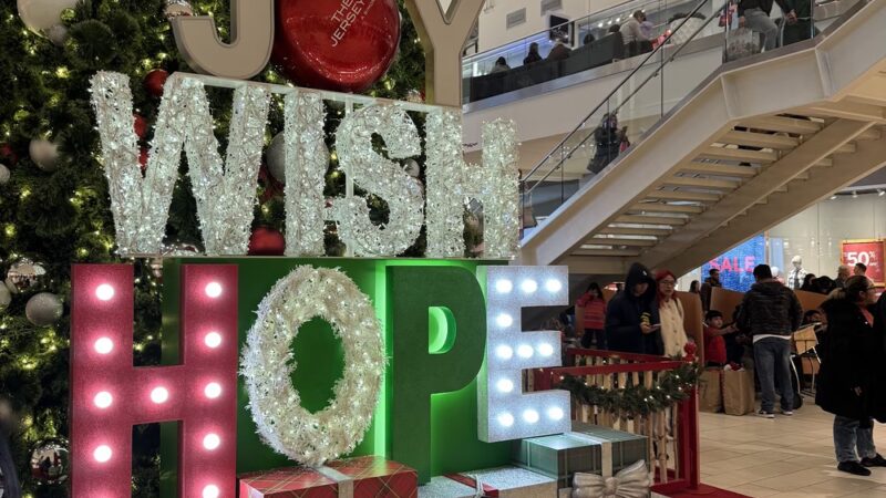 The Mills at Jersey Gardens - Elizabeth, NJ