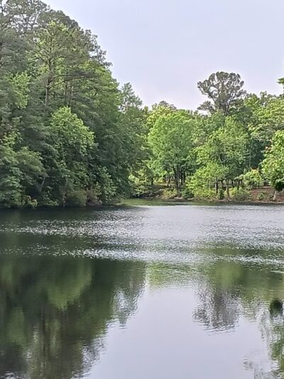 Greene's Lake Park and Conservation Park - Elizabethtown, NC