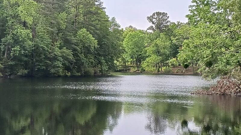 Greene's Lake Park and Conservation Park - Elizabethtown, NC