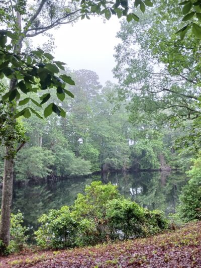 Greene's Lake Park and Conservation Park - Elizabethtown, NC