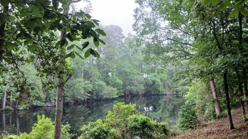 Greene's Lake Park and Conservation Park - Elizabethtown, NC