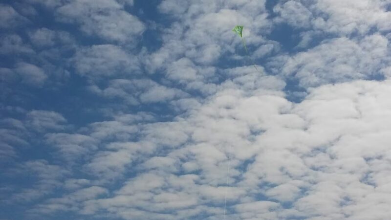 Lloyd Park Elizabethtown Parks & Recreation - Elizabethtown, NC