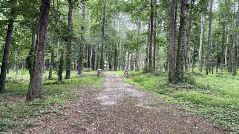 Tory Hole Park - Elizabethtown, NC