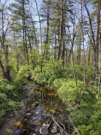 Conewago Recreation Trail - Elizabethtown, PA