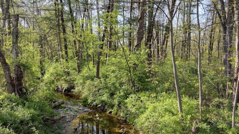 Conewago Recreation Trail - Elizabethtown, PA