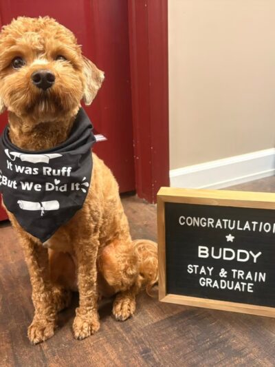 Playful Pups Retreat - Elizabethtown, PA