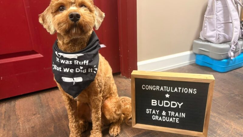 Playful Pups Retreat - Elizabethtown, PA