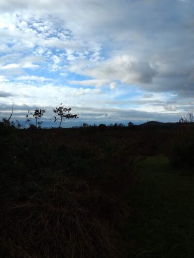 Swatara Beagle Club - Elizabethtown, PA