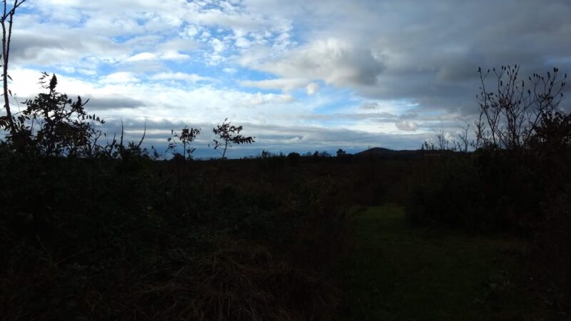 Swatara Beagle Club - Elizabethtown, PA