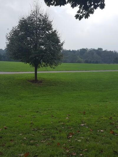 Wolgemuth Park - Elizabethtown, PA