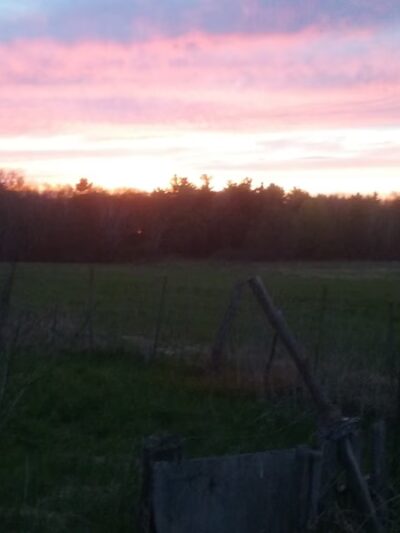 Muddy Creek State Wildlife Area - Elk Mound, WI