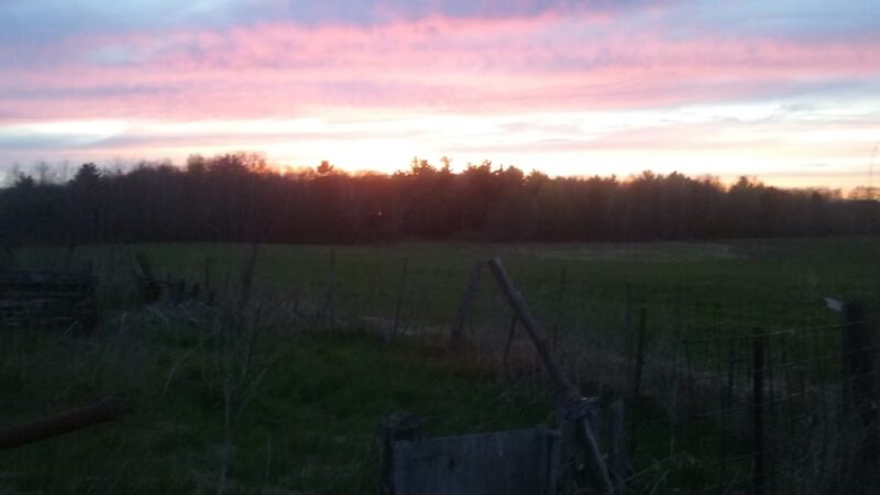 Muddy Creek State Wildlife Area - Elk Mound, WI