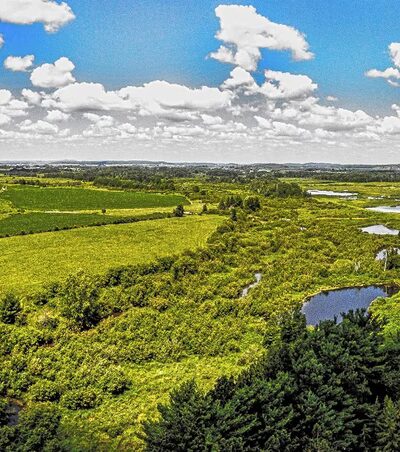 Muddy Creek State Wildlife Area - Elk Mound, WI