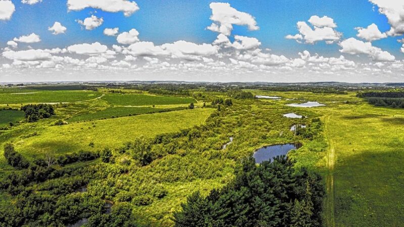 Muddy Creek State Wildlife Area - Elk Mound, WI