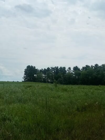 Muddy Creek State Wildlife Area - Elk Mound, WI