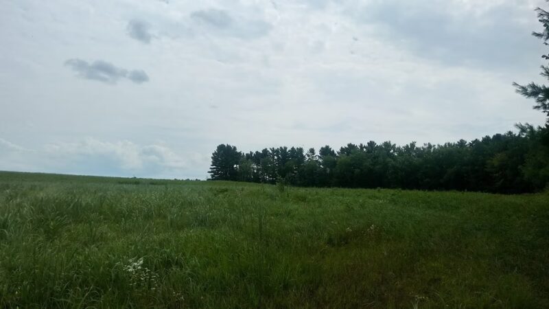 Muddy Creek State Wildlife Area - Elk Mound, WI