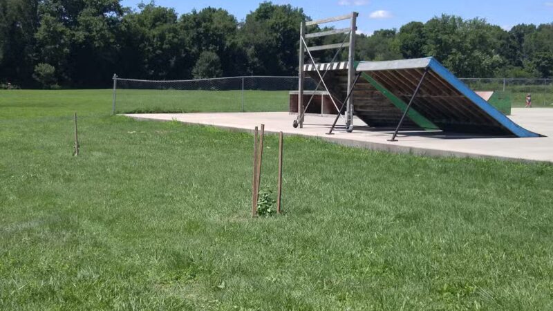 River Bend Park - Elkins, WV