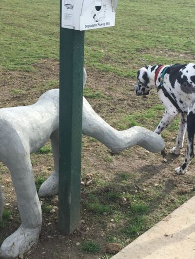 Rotary Off Leash Dog Area - Ellensburg, WA