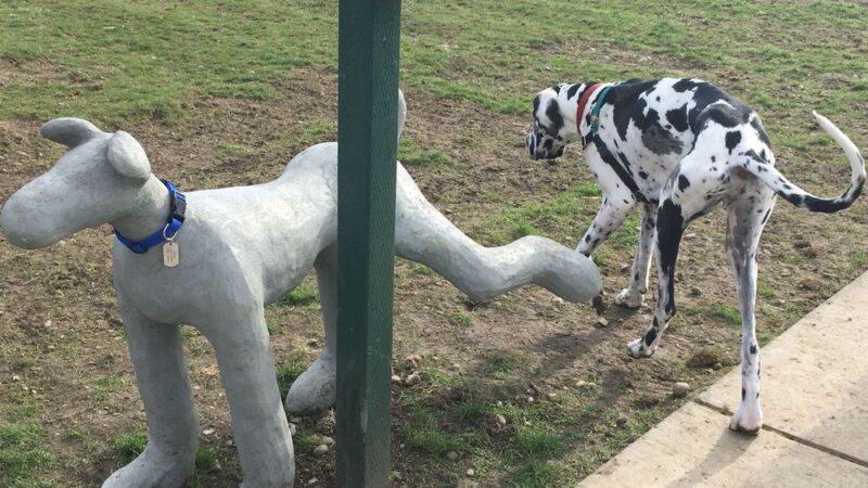 Rotary Off Leash Dog Area - Ellensburg, WA