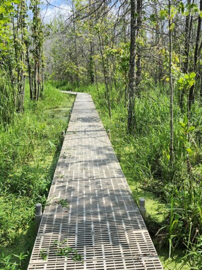Beanblossom Bottoms Nature Preserve - Sycamore Land Trust - Ellettsville, IN