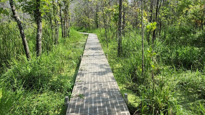 Beanblossom Bottoms Nature Preserve - Sycamore Land Trust - Ellettsville, IN