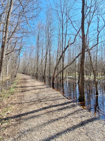 Beanblossom Bottoms Nature Preserve - Sycamore Land Trust - Ellettsville, IN