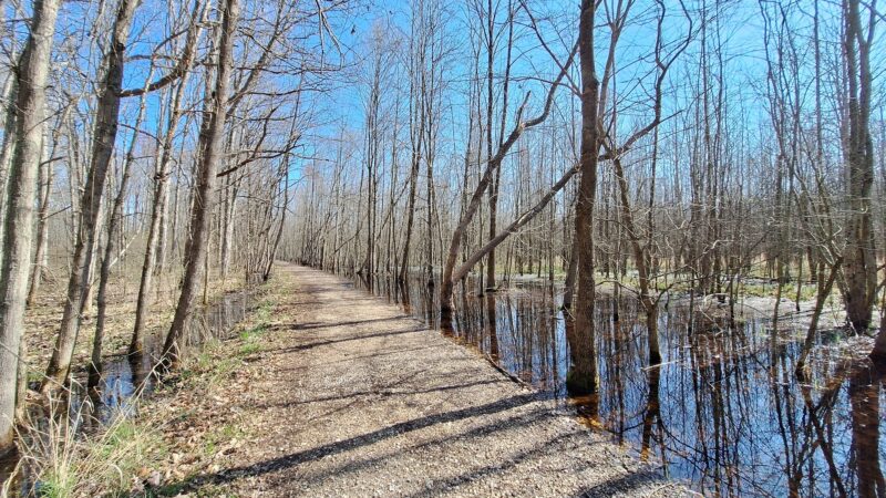 Beanblossom Bottoms Nature Preserve - Sycamore Land Trust - Ellettsville, IN