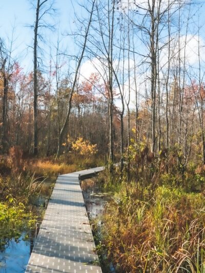 Beanblossom Bottoms Nature Preserve - Sycamore Land Trust - Ellettsville, IN