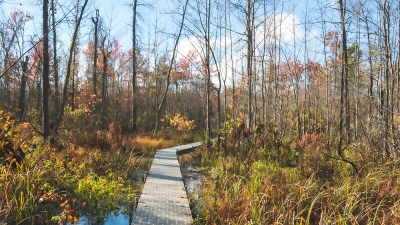 Beanblossom Bottoms Nature Preserve - Sycamore Land Trust - Ellettsville, IN