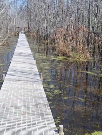 Beanblossom Bottoms Nature Preserve - Sycamore Land Trust - Ellettsville, IN