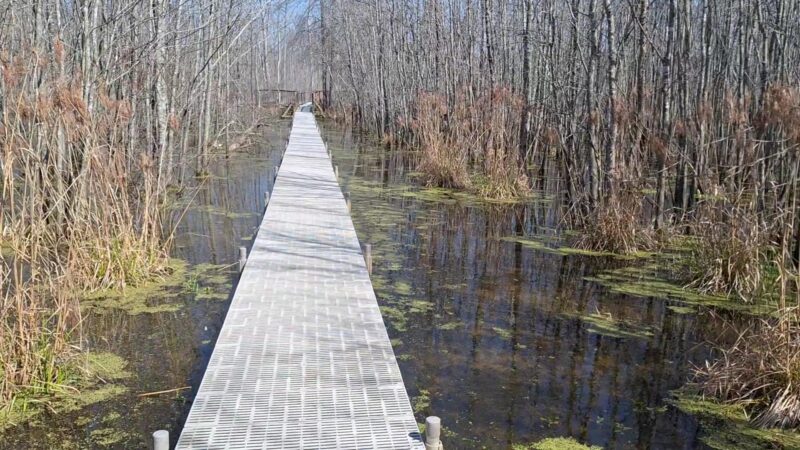 Beanblossom Bottoms Nature Preserve - Sycamore Land Trust - Ellettsville, IN