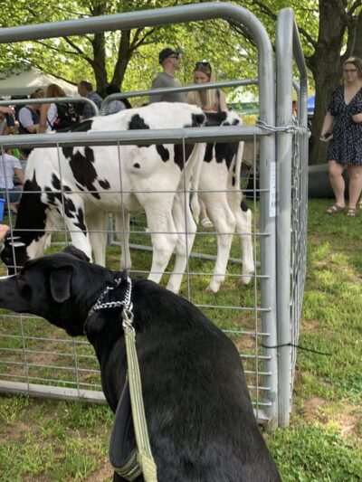 Arbor Park - Ellington, CT