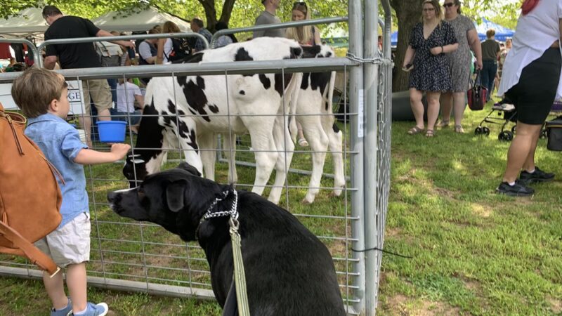 Arbor Park - Ellington, CT