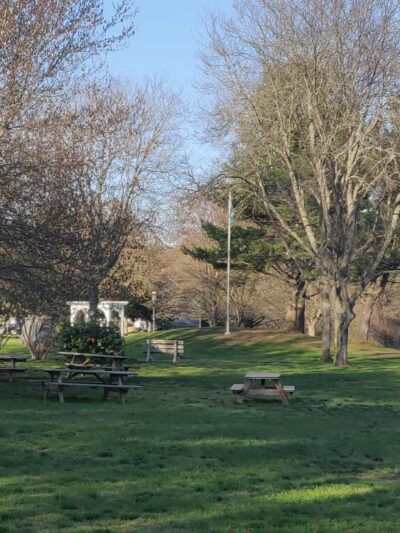 Arbor Park - Ellington, CT