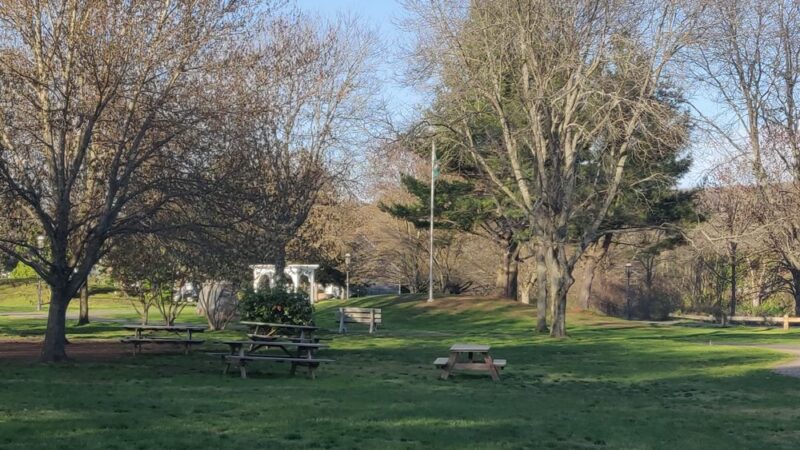 Arbor Park - Ellington, CT