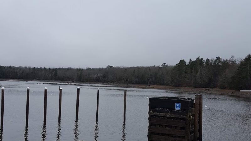 Ellsworth Harbor Park and Marina - Ellsworth, ME