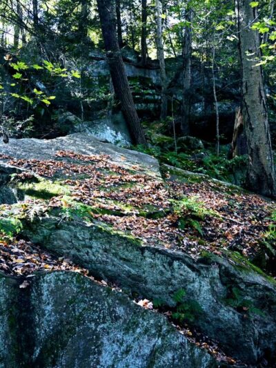 Nature Trail: Riverside Drive Trailhead - Ellwood City, PA
