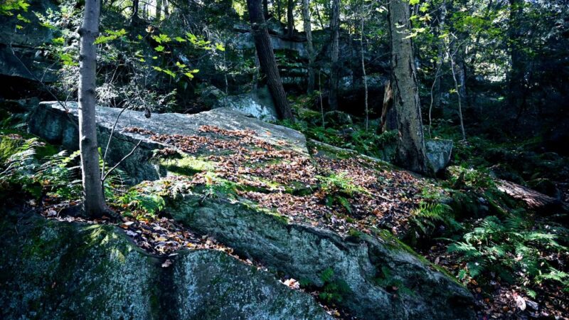 Nature Trail: Riverside Drive Trailhead - Ellwood City, PA