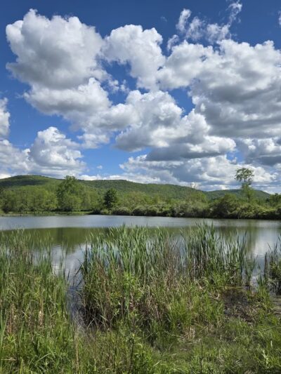 Sperr Memorial Park - Elmira Heights, NY