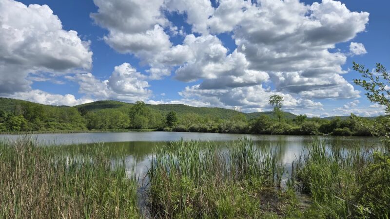 Sperr Memorial Park - Elmira Heights, NY