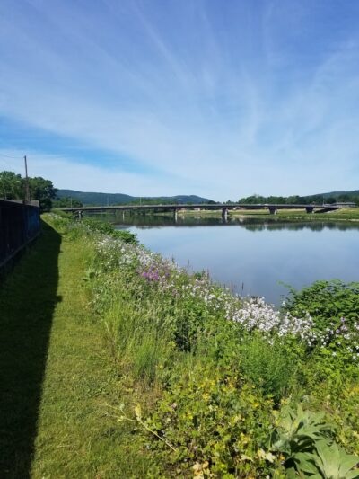 Katy Leary Park - Elmira, NY